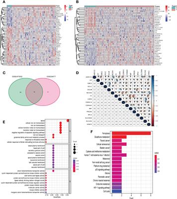 A novel ferroptosis-related gene signature for predicting prognosis in multiple myeloma